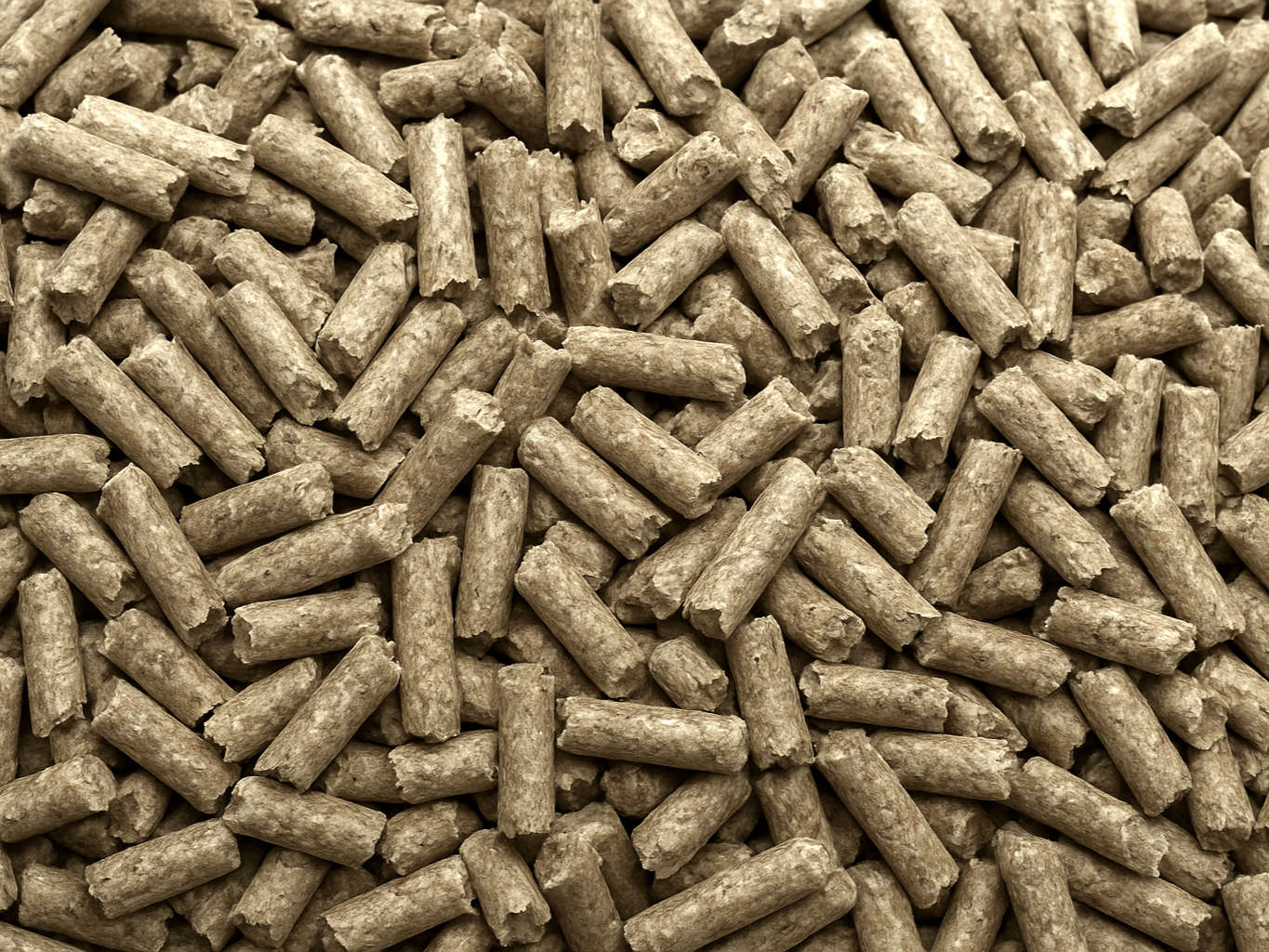 file_000000004fb4722f973bee9a3a3e209c (1)